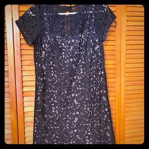 Loft Little Black Lace dress with tan lining